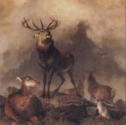 Sir Edwin Landseer A Majestic Gathering oil